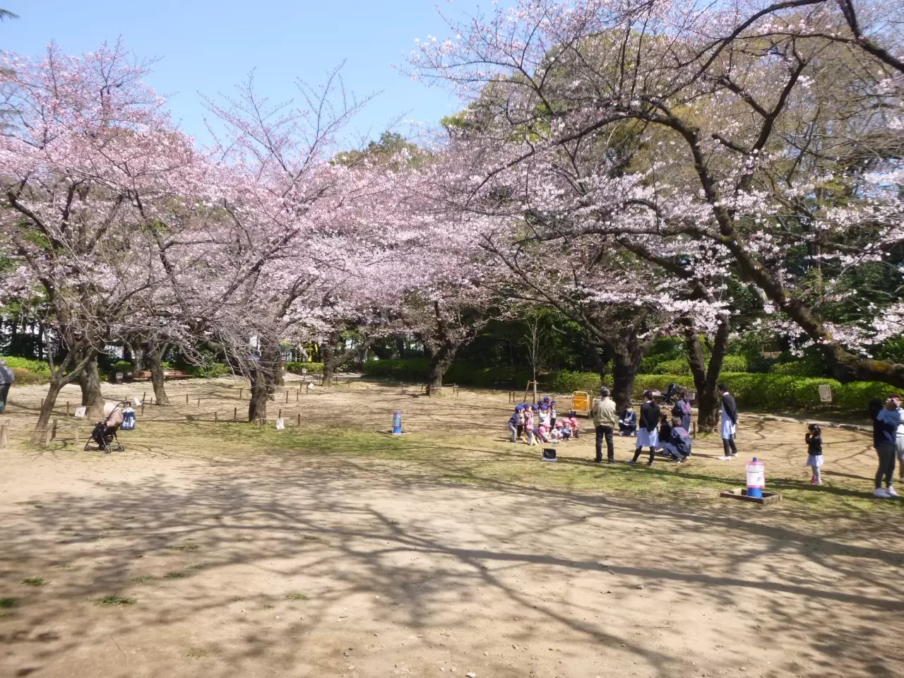 ⛩️ 철학당 공원(테츠가쿠도 코엔) 이미지 16